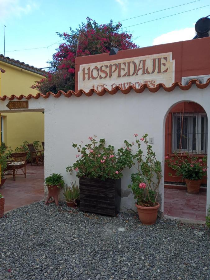 Bed & Breakfast Cardones *