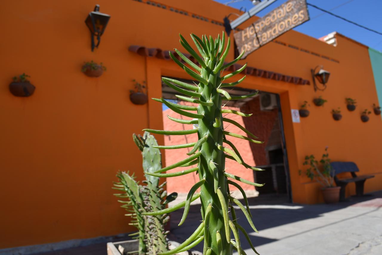 Cardones